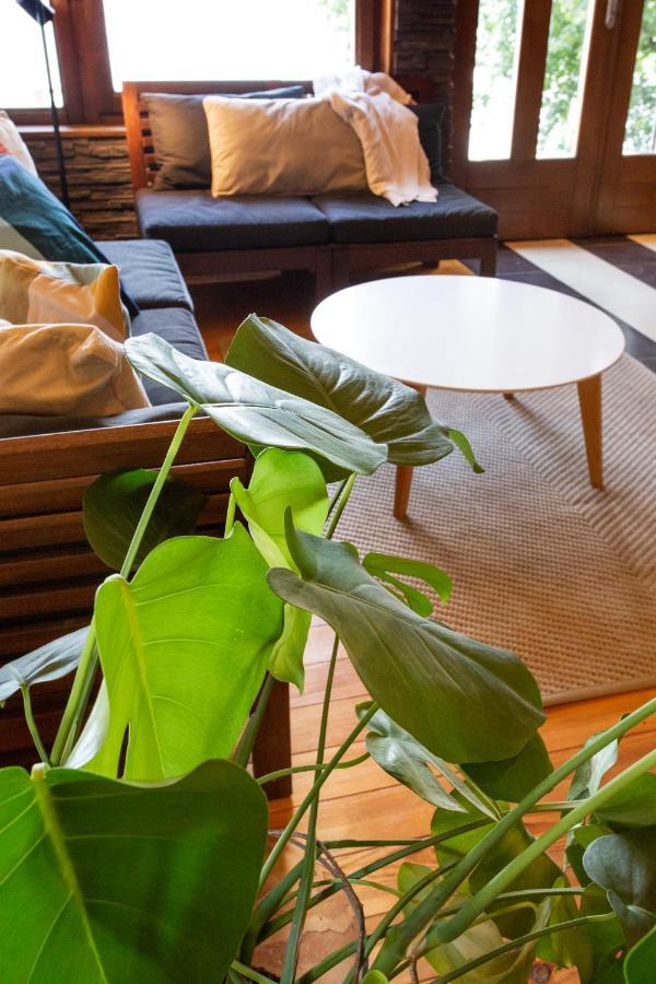 River House Vasa * 贝尔格莱德